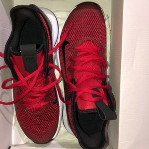 Nike Lebron Witness IV